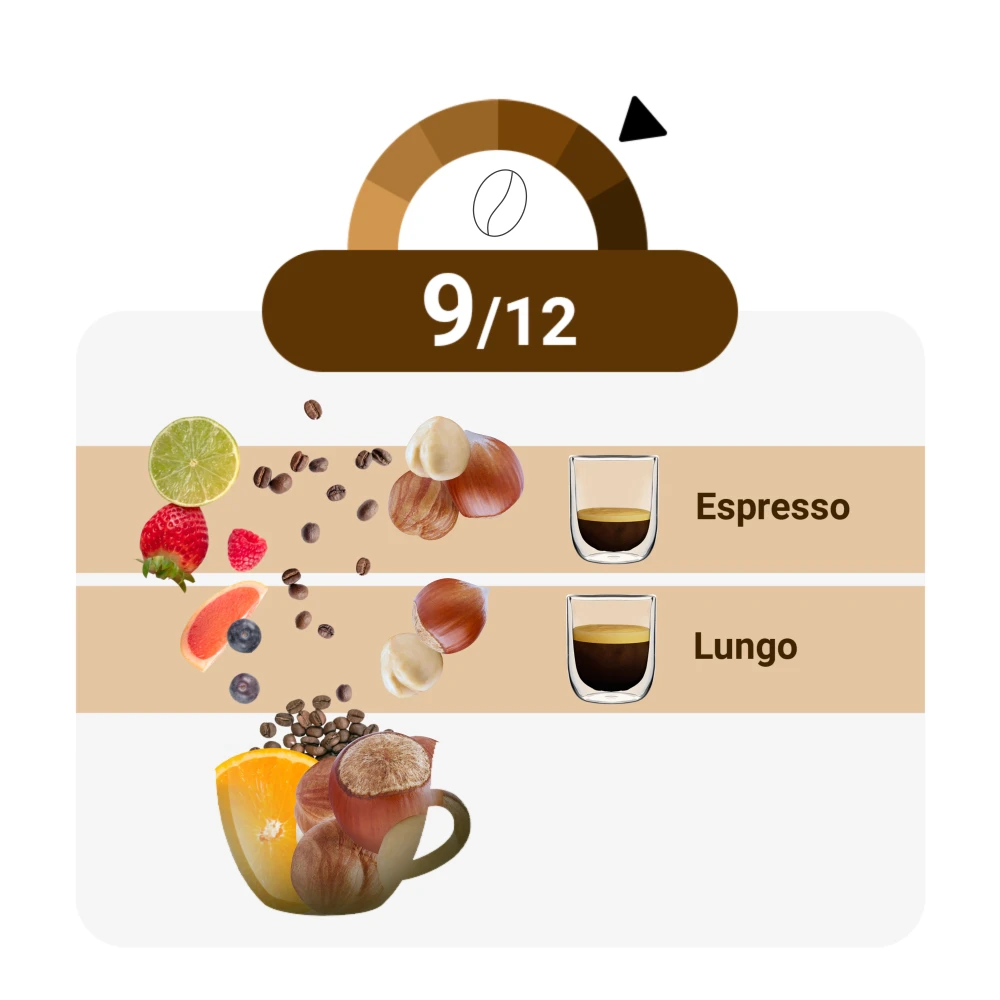 Celeste D'Oro Finest Espresso - Koffiebonen 1 KG 3 Celeste D'Oro Finest Espresso - Koffiebonen 1 KG - Afbeelding 3