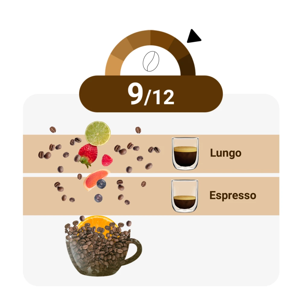 Celeste D'Oro - Finest Lungo Intense - 10 Cups 3 Celeste D'Oro - Finest Lungo Intense - 10 Cups - Afbeelding 3