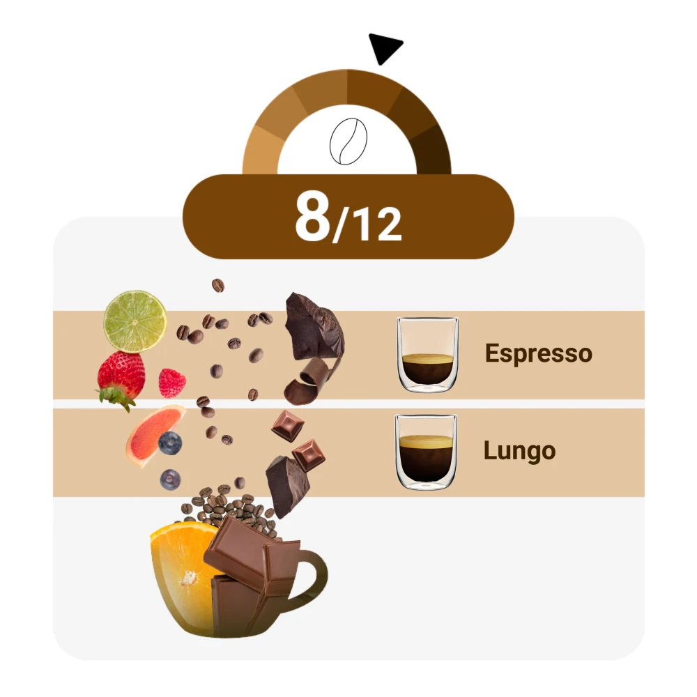 Celeste D'Oro - Finest Espresso - 10 Cups 3 Celeste D'Oro - Finest Espresso - 10 Cups - Afbeelding 3