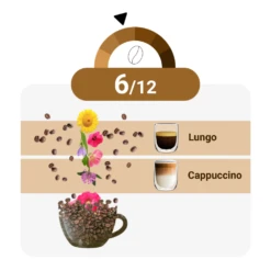 Celeste D'Oro - Finest Decaf - 10 Cups -Koffie Winkel CW211332 cdo decaf 10cups 03 1000x1000 36